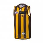 Shirt Hawthorn Hawks AFL 2022